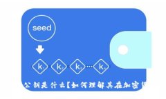 比特币钱包的公钥是什么